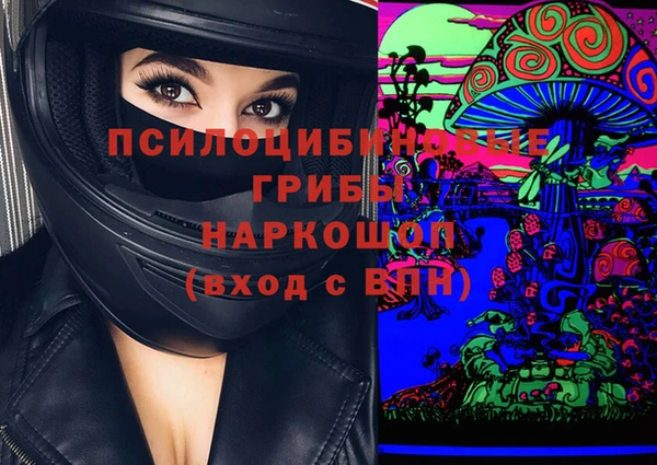 прущий лед Аркадак
