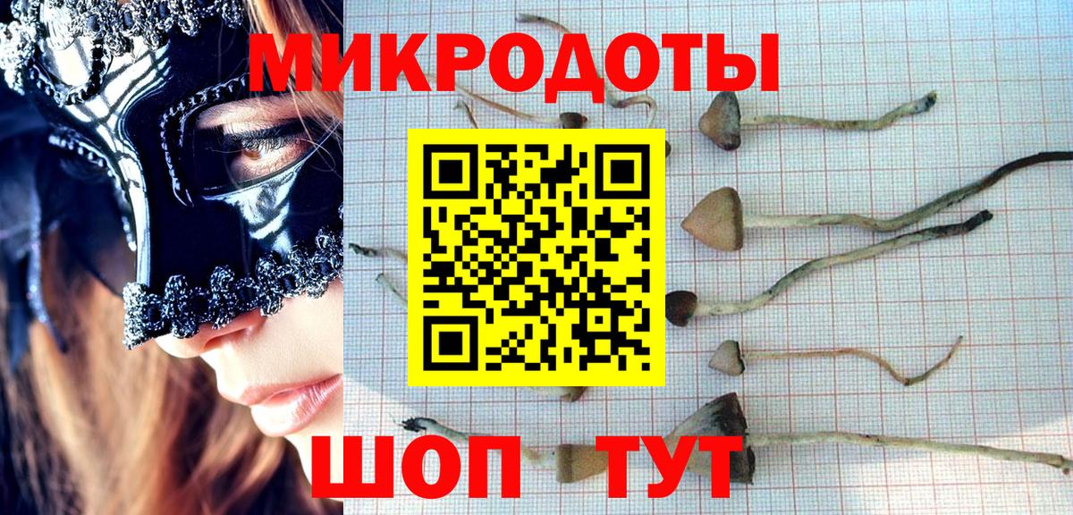 Псилоцибиновые грибы Psilocybine cubensis Нижний Тагил